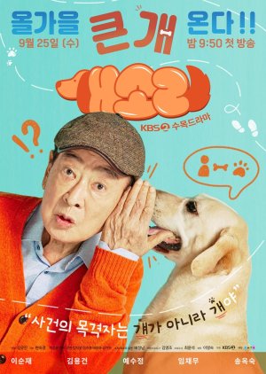 Dog Knows Everything (2024) Episode 10