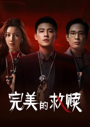 The Perfect Suspect (2025)
