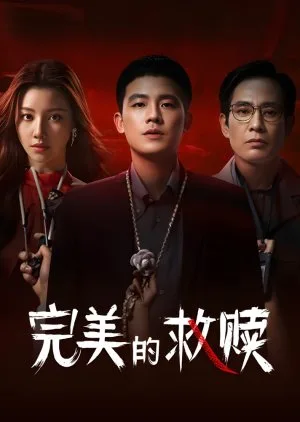 The Perfect Suspect (2025) Episode 16