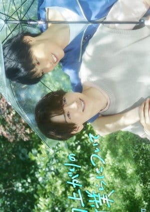 Stay By My Side After the Rain – Ameagari no Bokura ni Tsuite (2025)