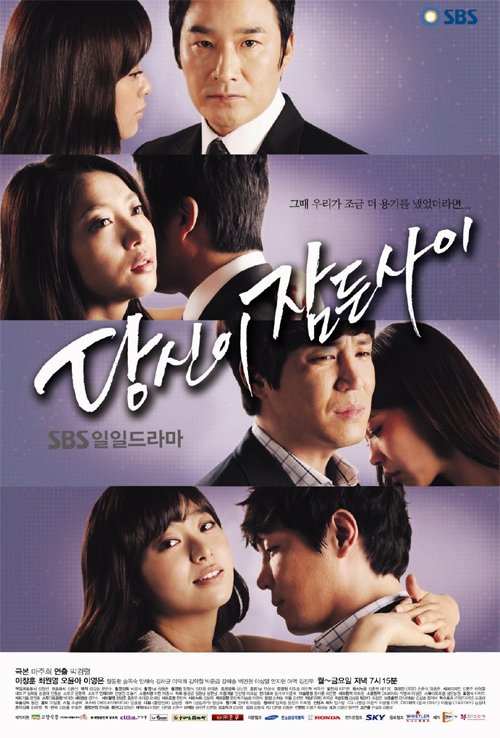 While You Were Sleeping (2011)